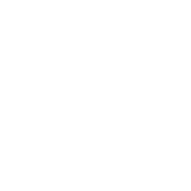 brain circuit